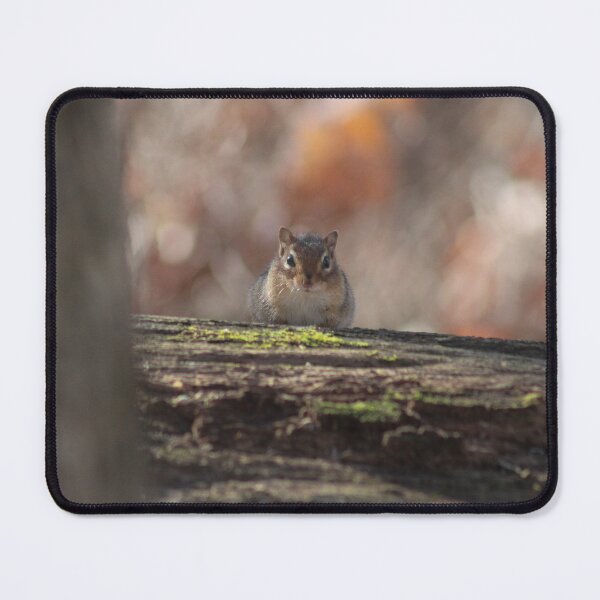 Item preview, cute chipmunk sitting on log designed and sold by beaglybeagle.