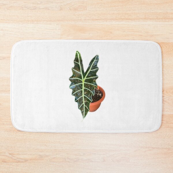 Item preview, Alocasia Polly designed and sold by Meo Design.