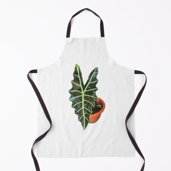 Item preview, Alocasia Polly designed and sold by Meo Design.