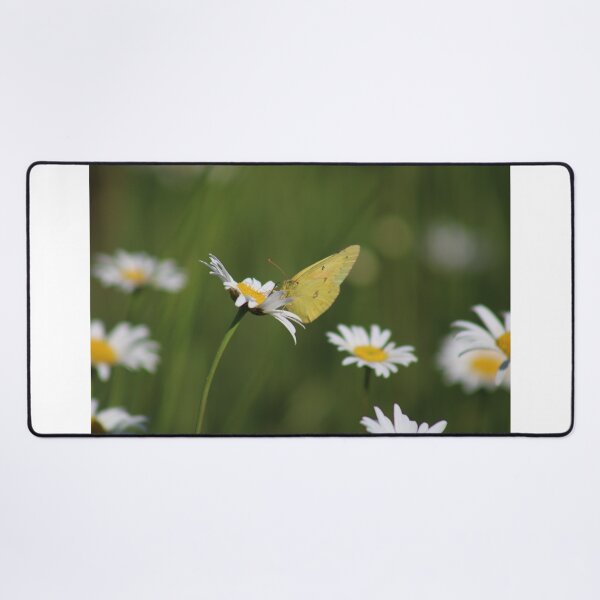 Item preview, yellow butterfly on a daisy  designed and sold by beaglybeagle.