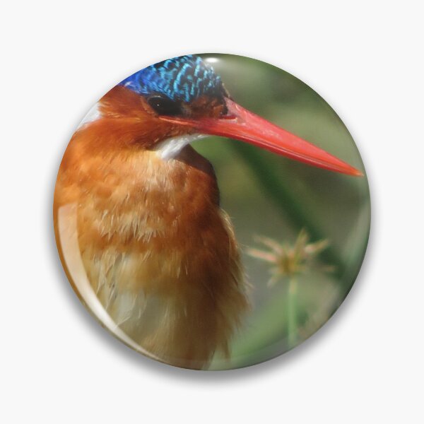 Item preview, Colourful Kingfisher Photograph designed and sold by LearsInteriors.