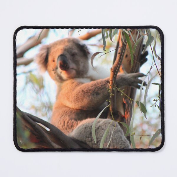Item preview, Koala Bear chilling in a tree designed and sold by LearsInteriors.