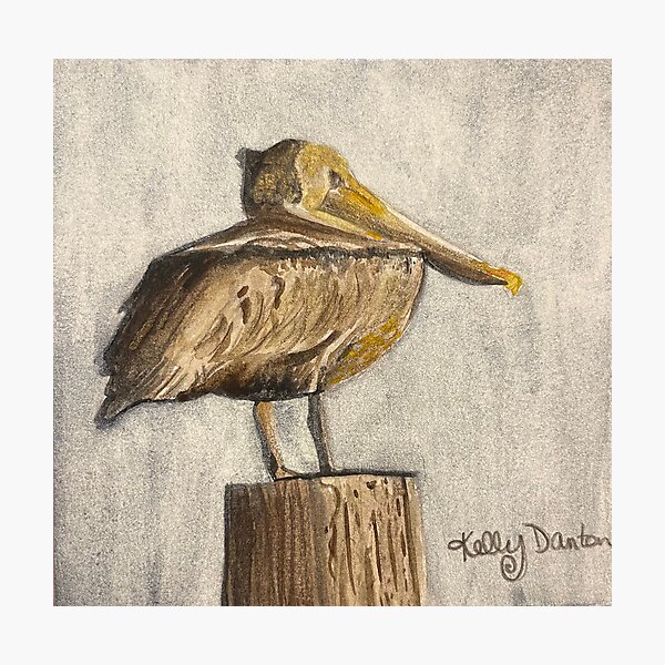 Pelican on a Piling Photographic Print