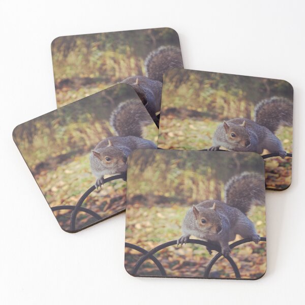 Item preview, Squirrel on a fence designed and sold by FilipeBeFX.