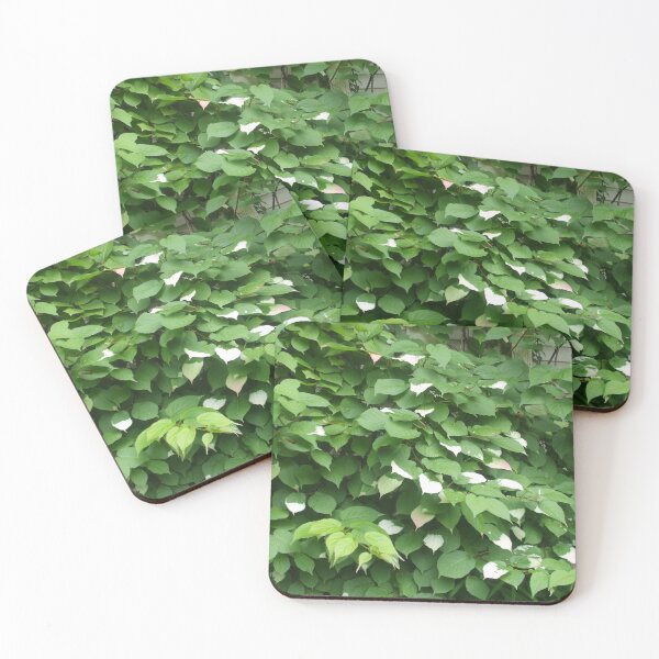 Item preview, Variegated Vine 1: green leaves with white tips designed and sold by Dustwood-Media.