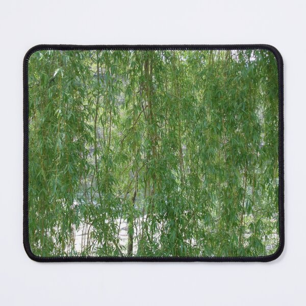 Item preview, Weeping Willow Textures 1: screen of leaves designed and sold by Dustwood-Media.