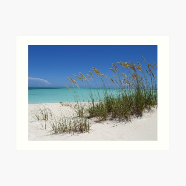 Sea Grass at Treasure Cay Art Print