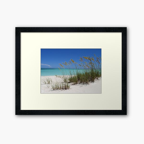 Sea Grass at Treasure Cay Framed Art Print