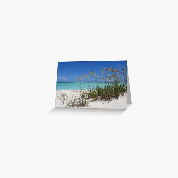 Sea Grass at Treasure Cay Greeting Card