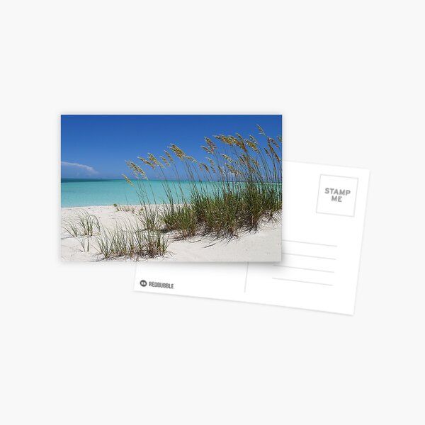 Sea Grass at Treasure Cay Postcard