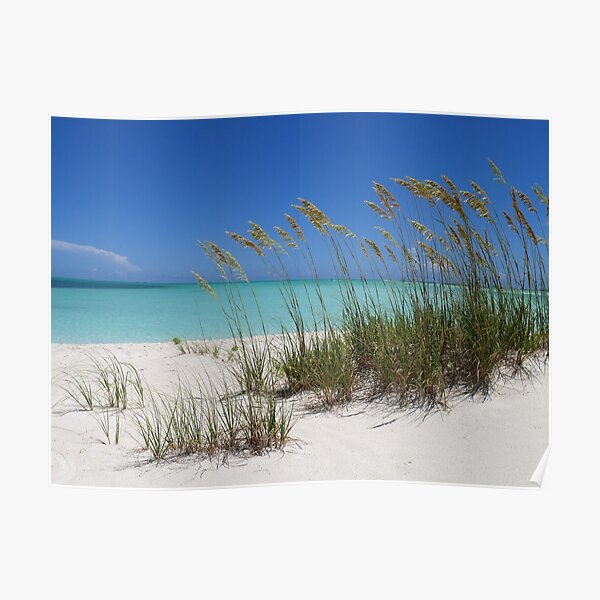 Sea Grass at Treasure Cay Poster