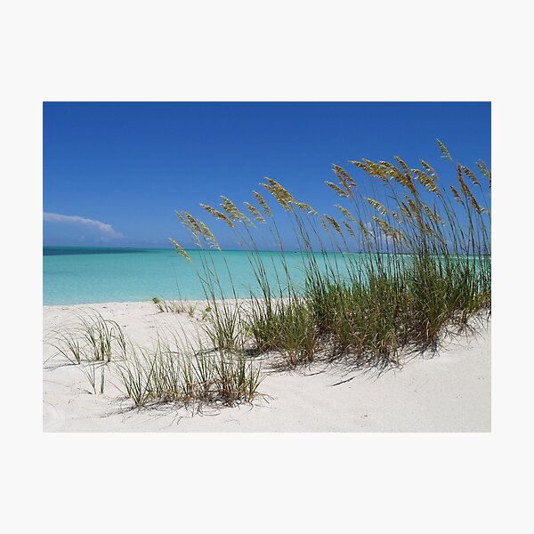 Sea Grass at Treasure Cay Photographic Print