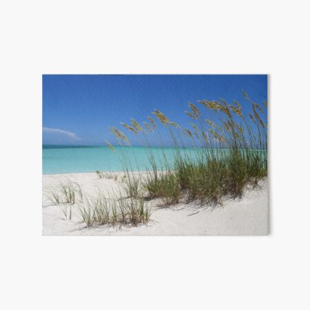 Sea Grass at Treasure Cay Art Board Print