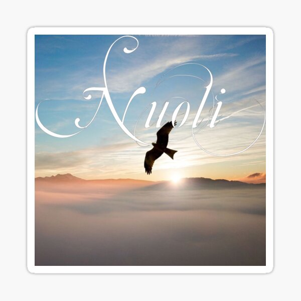 Item preview, Nuoli - Mochi and the Truth Cover Art designed and sold by Nuoli.