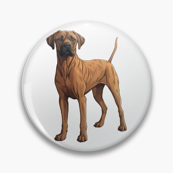 Item preview, Red Wheaten Rhodesian Ridgeback Dog Drawing designed and sold by meganohm.