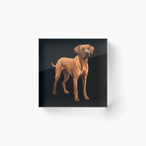 Artikelvorschau, Zeichnung eines roten Rhodesian Ridgeback-Hundes entworfen und verkauft von meganohm.