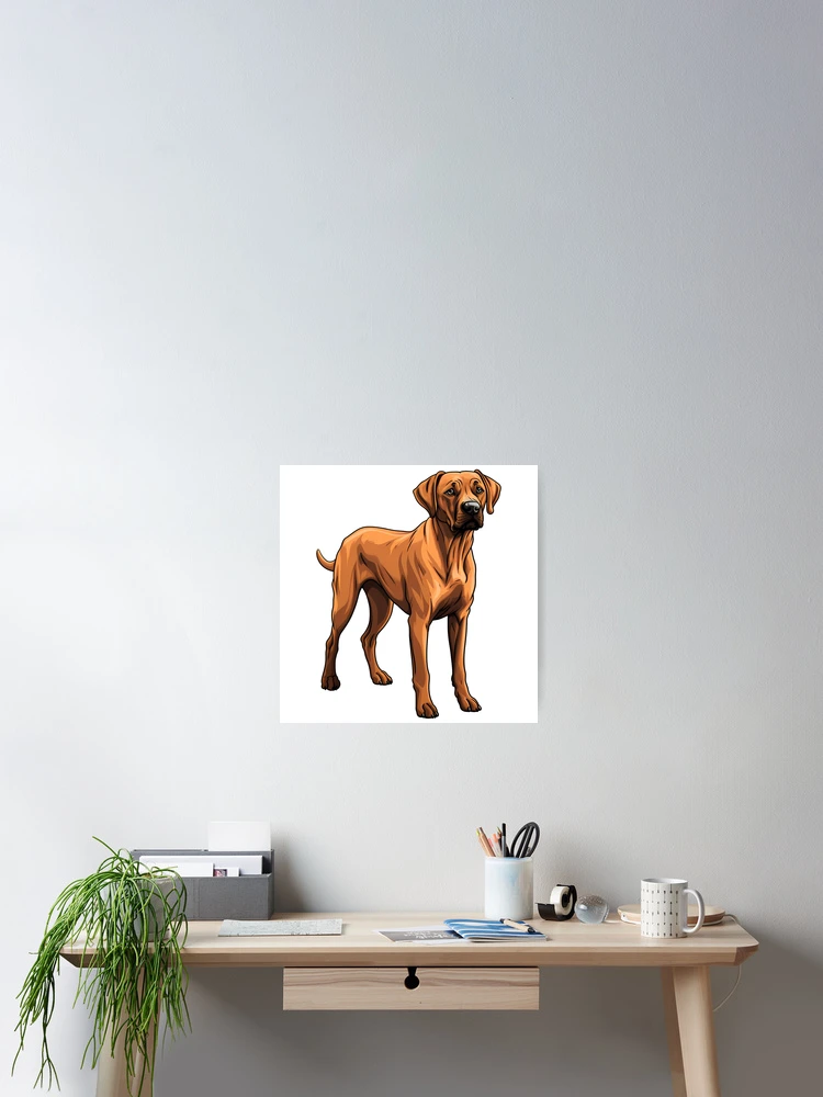 Thumbnail 2 of 3, Poster, Red Rhodesian Ridgeback Dog Drawing designed and sold by meganohm.