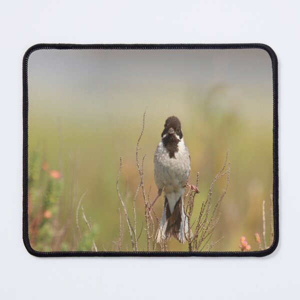 Item preview, A bunting balancing act designed and sold by miradorpictures.