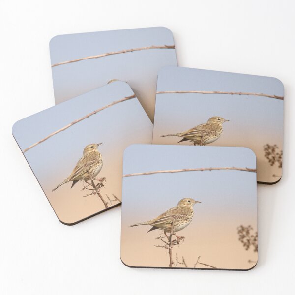 Item preview, Meadow pipits rest  designed and sold by miradorpictures.