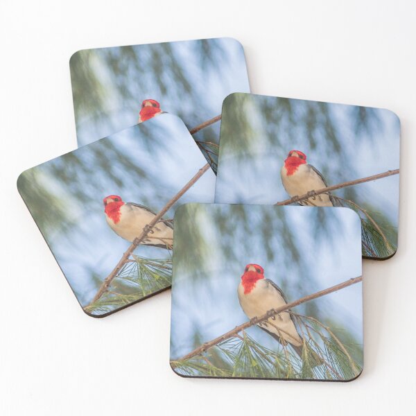 Item preview, Red Crested Cardinal 2 designed and sold by KensLensDesigns.