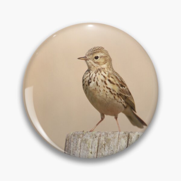 Item preview, Pipits post  designed and sold by miradorpictures.