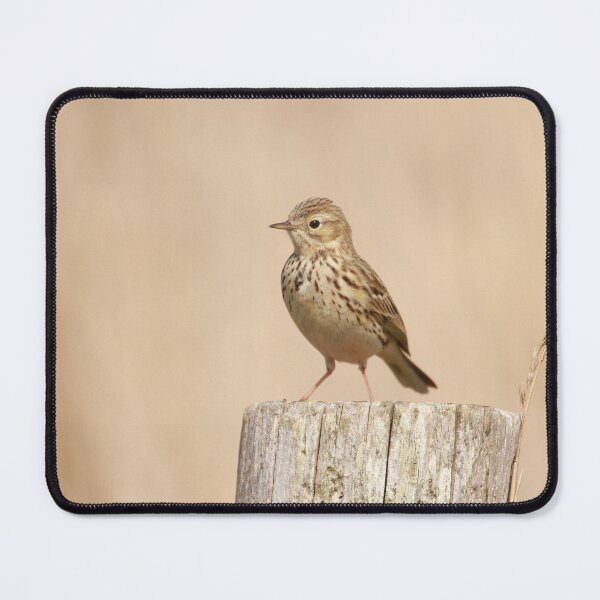 Item preview, Pipits post  designed and sold by miradorpictures.