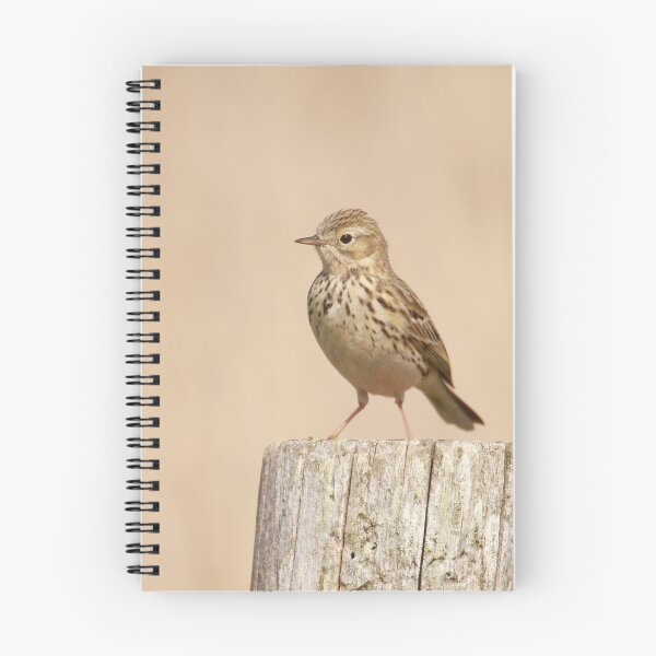 Item preview, Pipits post  designed and sold by miradorpictures.