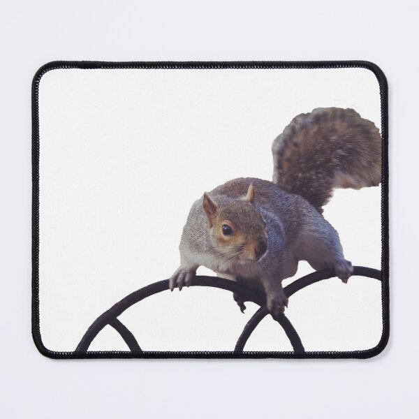 Item preview, Squirrel on a fence without background designed and sold by FilipeBeFX.
