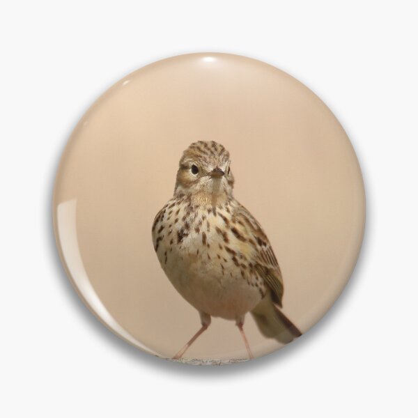 Item preview, Posted meadow pipit designed and sold by miradorpictures.
