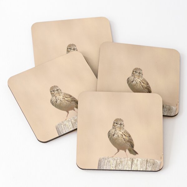 Item preview, Posted meadow pipit designed and sold by miradorpictures.