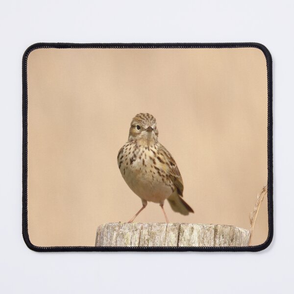 Item preview, Posted meadow pipit designed and sold by miradorpictures.