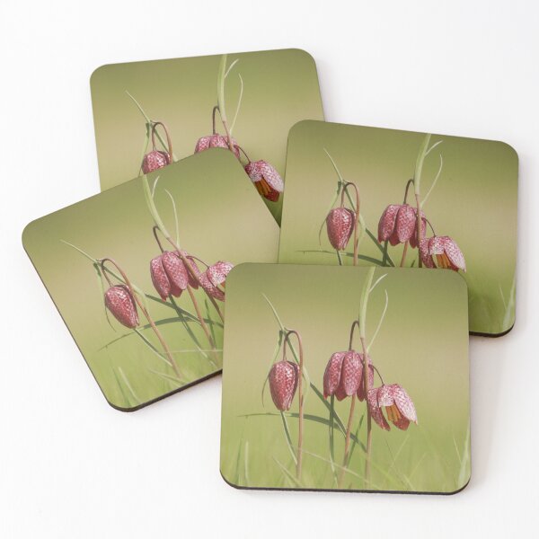 Item preview, Fabulous Fritillaries  designed and sold by miradorpictures.