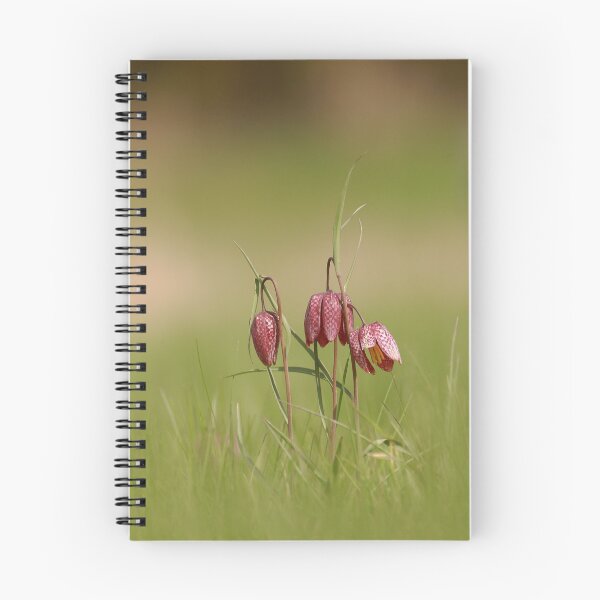 Item preview, Florishing Fritillaries  designed and sold by miradorpictures.