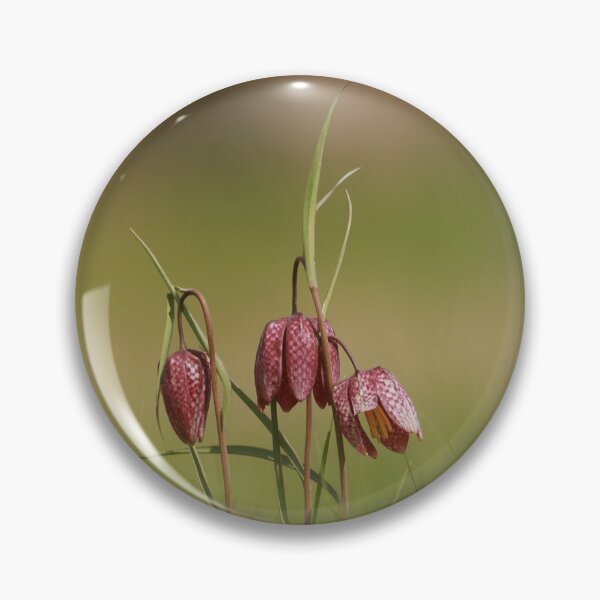 Item preview, Snakes head fritillary  designed and sold by miradorpictures.