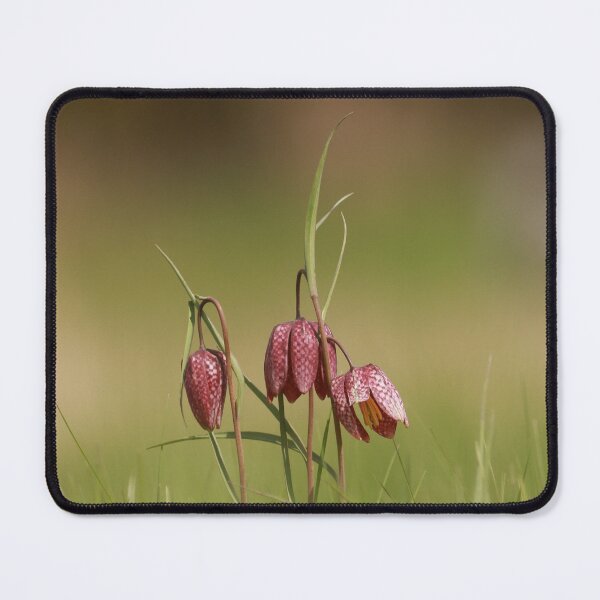 Item preview, Snakes head fritillary designed and sold by miradorpictures.