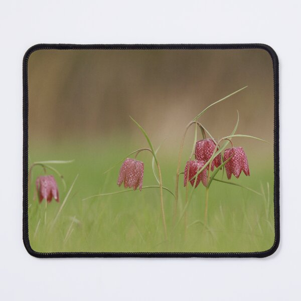 Item preview, Fields of Fritillaries designed and sold by miradorpictures.