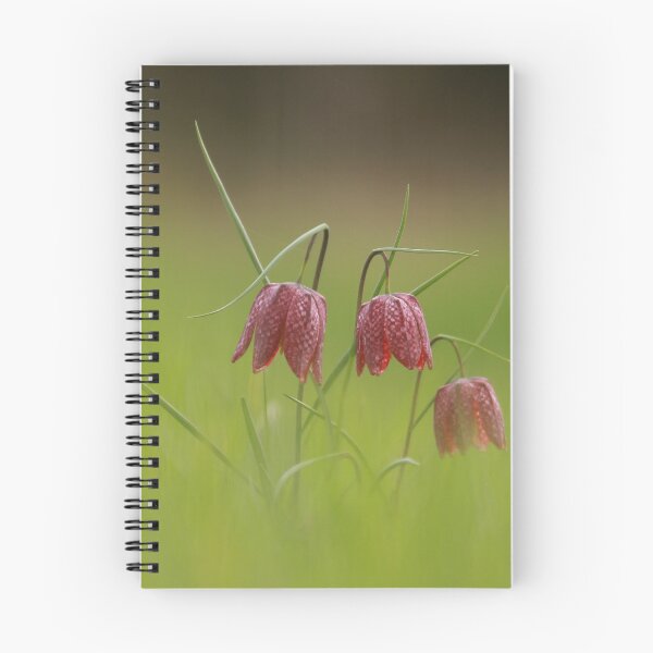 Item preview, Springtime  designed and sold by miradorpictures.