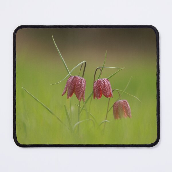 Item preview, Springtime designed and sold by miradorpictures.