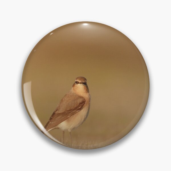 Item preview, The perfect pose designed and sold by miradorpictures.