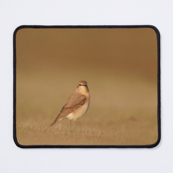 Item preview, The perfect pose designed and sold by miradorpictures.