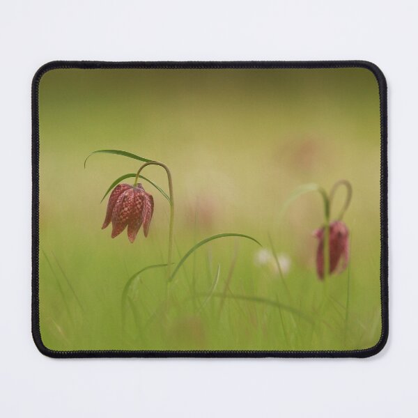 Item preview, Flowering Fritillaries designed and sold by miradorpictures.