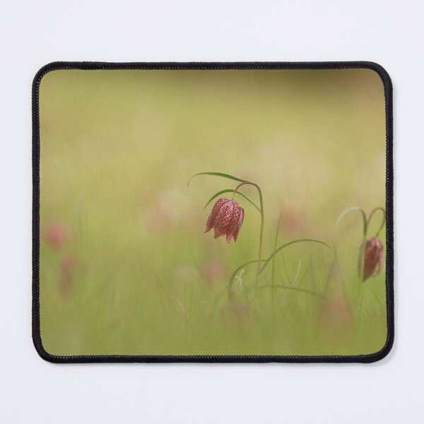 Item preview, Blooming Spring Flowers designed and sold by miradorpictures.