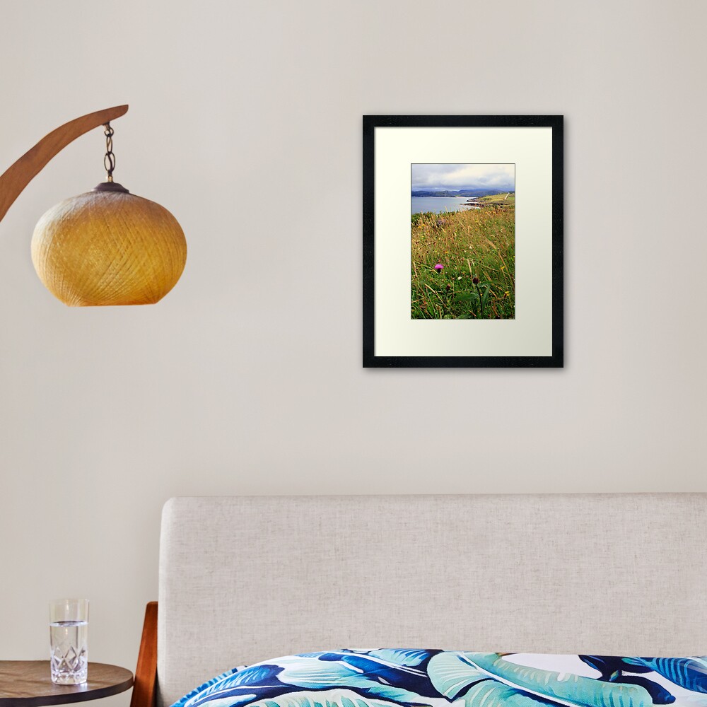 Coast 2 Framed Art Print