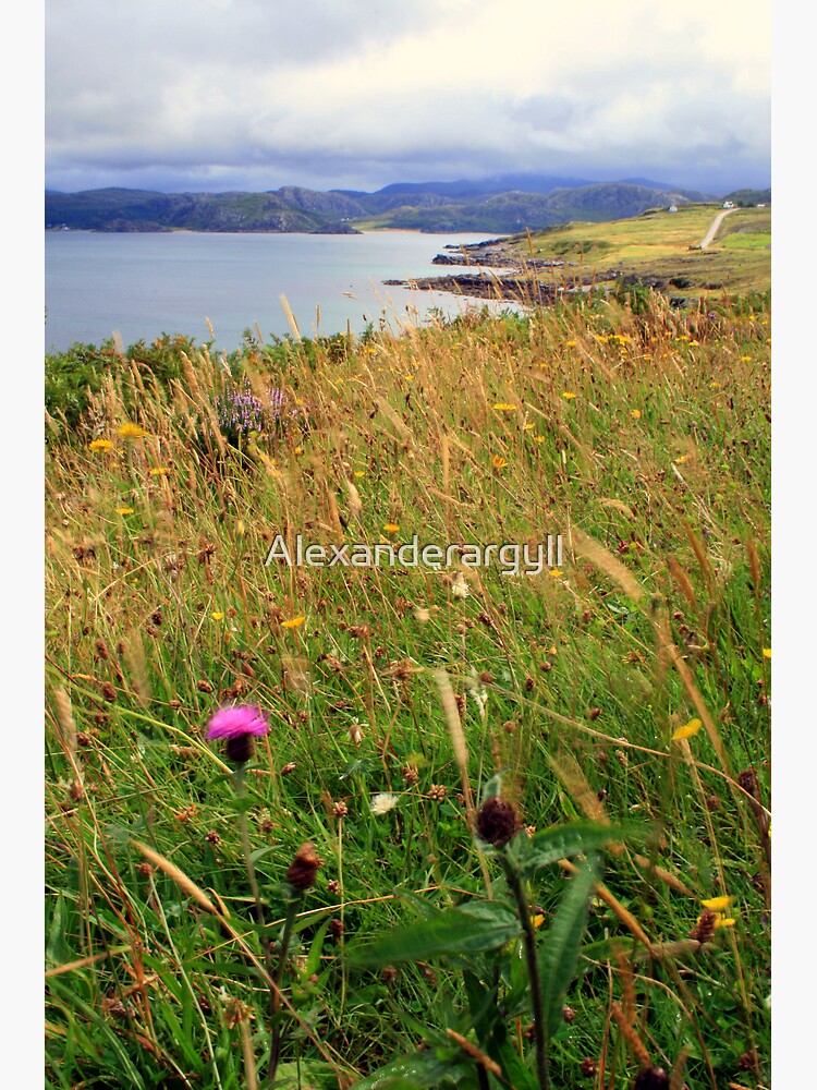 Coast 2 by Alexanderargyll