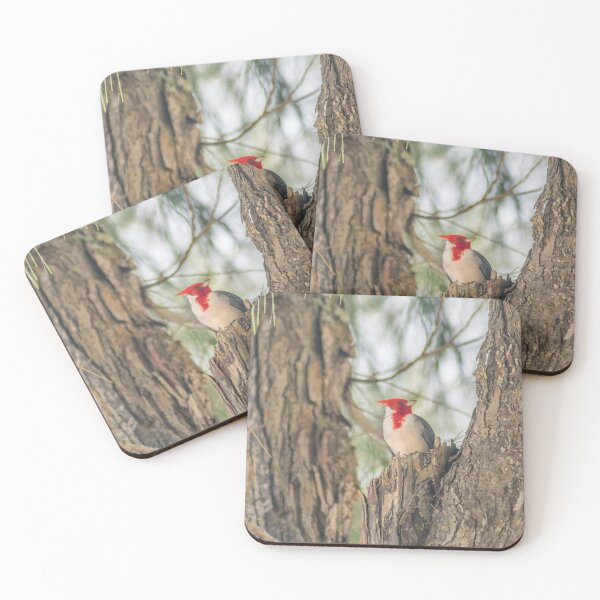 Item preview, Red Crested Cardinal designed and sold by KensLensDesigns.