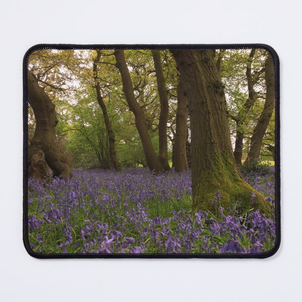 Item preview, Down in the woods  designed and sold by miradorpictures.