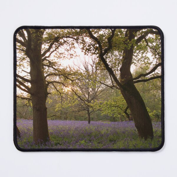 Item preview, Sunset over woodland  designed and sold by miradorpictures.