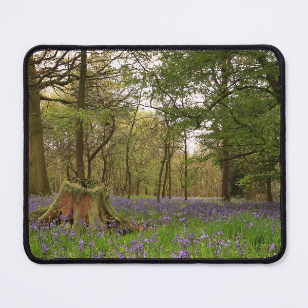Item preview, Stumped  designed and sold by miradorpictures.