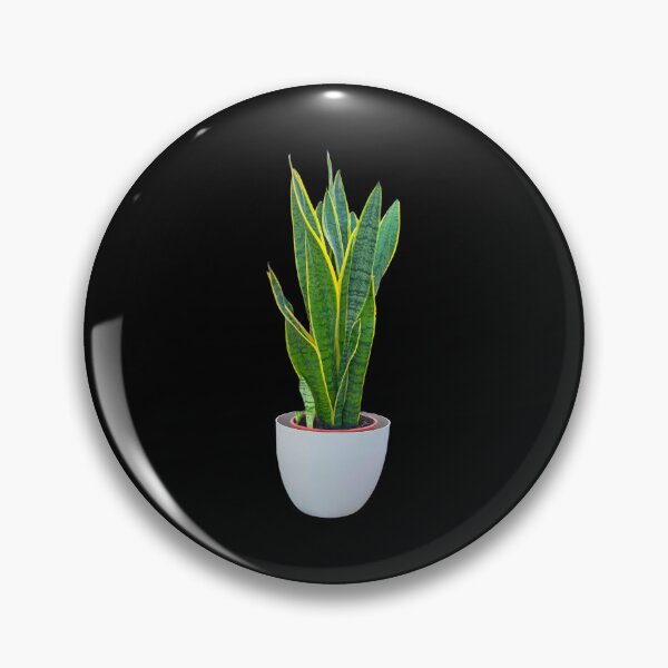 Item preview, Sansevieria designed and sold by Meo Design.