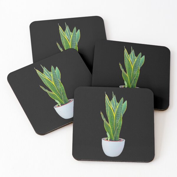 Item preview, Sansevieria designed and sold by Meo Design.